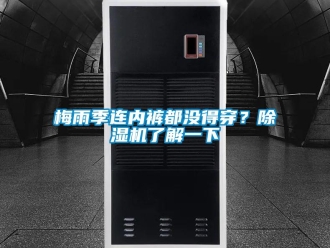 行業新聞梅雨季連內褲都沒得穿？除濕機了解一下