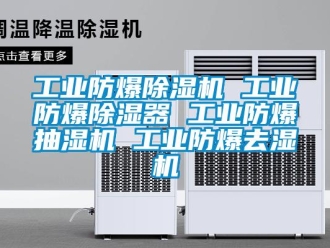 企業(yè)新聞工業(yè)防爆除濕機(jī) 工業(yè)防爆除濕器 工業(yè)防爆抽濕機(jī) 工業(yè)防爆去濕機(jī)