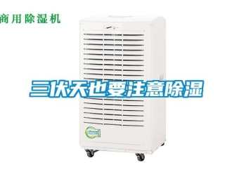 行業新聞三伏天也要注意除濕