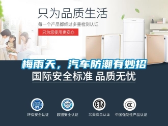 行業新聞梅雨天，汽車防潮有妙招