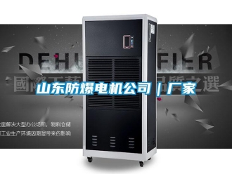 企業(yè)新聞山東防爆電機(jī)公司｜廠家