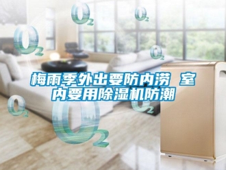 行業新聞梅雨季外出要防內澇 室內要用除濕機防潮