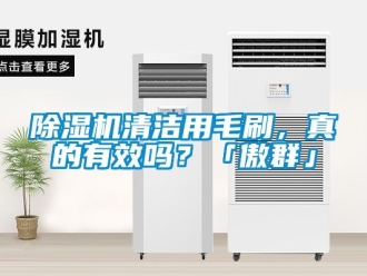 行業(yè)新聞除濕機(jī)清潔用毛刷，真的有效嗎？「傲群」