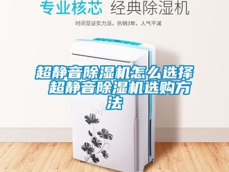 企業新聞超靜音除濕機怎么選擇 超靜音除濕機選購方法