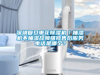 行業(yè)新聞深圳復旦申花除濕機／抽濕機不抽濕故障維修售后服務電話是哪個？