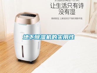 企業新聞地下除濕機的實用性
