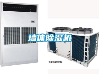行業新聞墻體除濕機