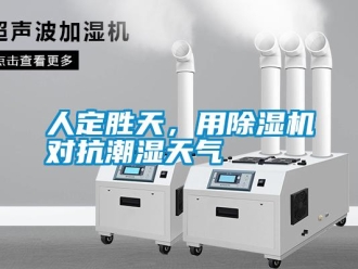 行業新聞人定勝天，用除濕機對抗潮濕天氣