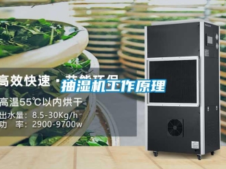 企業(yè)新聞抽濕機工作原理