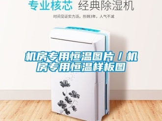 知識(shí)百科機(jī)房專用恒溫圖片／機(jī)房專用恒溫樣板圖