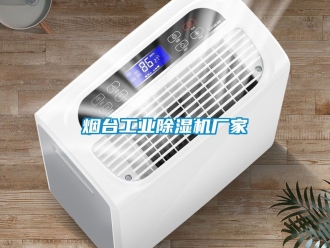 企業(yè)新聞煙臺工業(yè)除濕機廠家