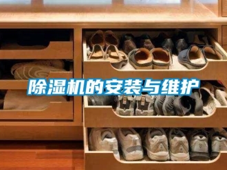 企業(yè)新聞除濕機的安裝與維護