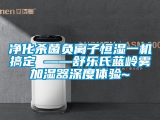 知識百科凈化殺菌負離子恒濕一機搞定 ——舒樂氏藍嶺霧加濕器深度體驗~