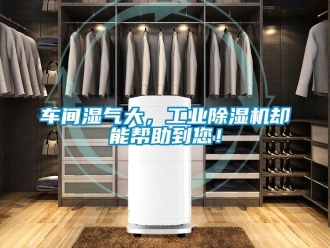 企業新聞車間濕氣大，工業除濕機卻能幫助到您！