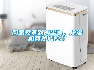 行業新聞肉眼見不到的塵螨，除濕機竟然能控制