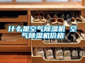 企業(yè)新聞什么是空氣除濕機(jī) 空氣除濕機(jī)價格