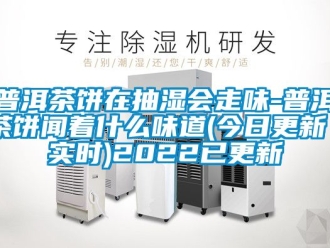 企業新聞普洱茶餅在抽濕會走味-普洱茶餅聞著什么味道(今日更新／實時)2022已更新