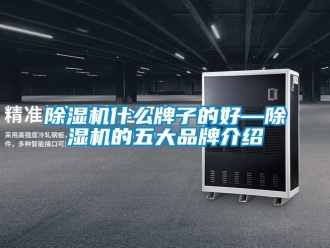企業(yè)新聞除濕機(jī)什么牌子的好—除濕機(jī)的五大品牌介紹