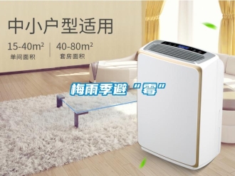 行業新聞梅雨季避“霉”