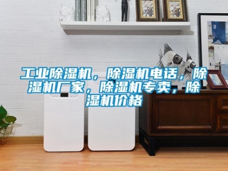 企業新聞工業除濕機，除濕機電話，除濕機廠家，除濕機專賣，除濕機價格