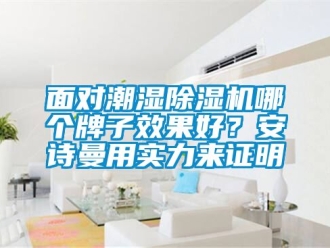 行業新聞面對潮濕除濕機哪個牌子效果好？安詩曼用實力來證明