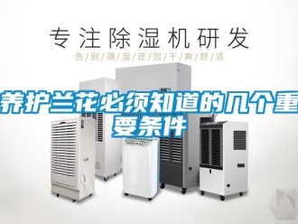 知識百科養(yǎng)護(hù)蘭花必須知道的幾個(gè)重要條件