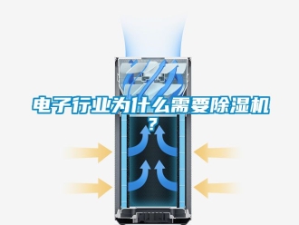 行業(yè)新聞電子行業(yè)為什么需要除濕機？