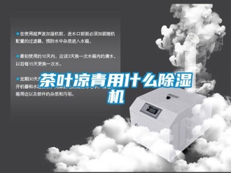 企業(yè)新聞茶葉涼青用什么除濕機