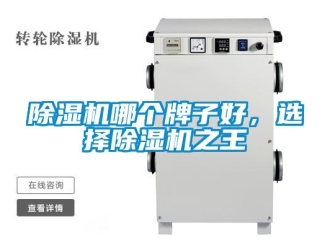 行業(yè)新聞除濕機哪個牌子好，選擇除濕機之王