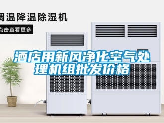 企業(yè)新聞酒店用新風凈化空氣處理機組批發(fā)價格