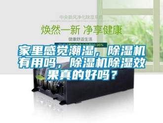 行業新聞家里感覺潮濕，除濕機有用嗎，除濕機除濕效果真的好嗎？