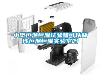 知識百科小型恒溫恒濕試驗箱可以替代恒溫恒濕實驗室嗎