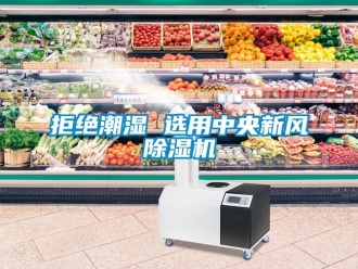 行業(yè)新聞拒絕潮濕 選用中央新風(fēng)除濕機(jī)