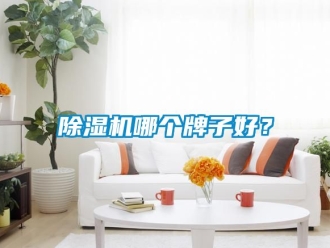 行業(yè)新聞除濕機哪個牌子好？
