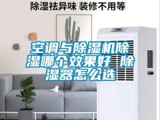 行業新聞空調與除濕機除濕哪個效果好 除濕器怎么選