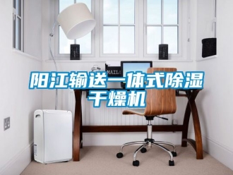 行業(yè)新聞陽(yáng)江輸送一體式除濕干燥機(jī)