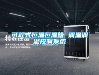 知識百科可程式恒溫恒濕箱 調(diào)溫調(diào)濕控制系統(tǒng)