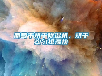行業(yè)新聞葡萄干烘干除濕機，烘干均勻排濕快