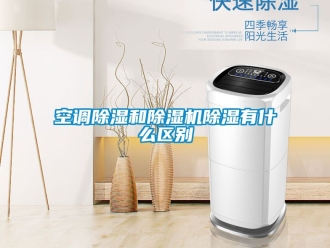 行業(yè)新聞空調(diào)除濕和除濕機(jī)除濕有什么區(qū)別