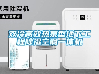 行業(yè)新聞雙冷高效熱泵型地下工程除濕空調(diào)一體機(jī)