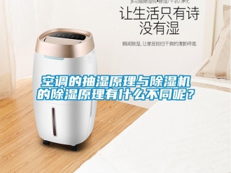 行業(yè)新聞空調(diào)的抽濕原理與除濕機(jī)的除濕原理有什么不同呢？