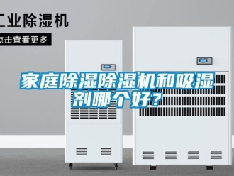 行業新聞家庭除濕除濕機和吸濕劑哪個好？