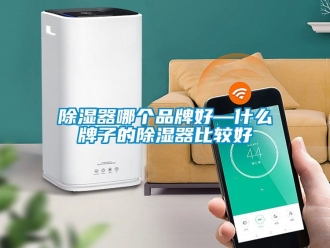 行業新聞除濕器哪個品牌好—什么牌子的除濕器比較好