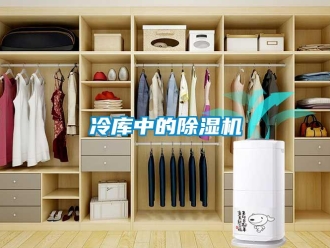 行業(yè)新聞冷庫中的除濕機