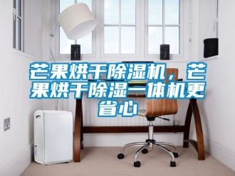行業(yè)新聞芒果烘干除濕機，芒果烘干除濕一體機更省心