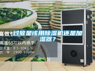 行業新聞過敏是該用除濕機還是加濕器？