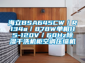 行業(yè)新聞海立BSA645CW／R134a／878W單相115-120V／60Hz除濕干洗機(jī)柜空調(diào)壓縮機(jī)
