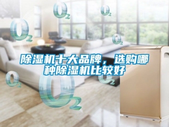 企業新聞除濕機十大品牌，選購哪種除濕機比較好