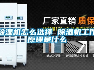 行業新聞除濕機怎么選擇 除濕機工作原理是什么