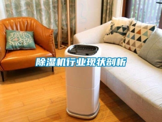 企業新聞除濕機行業現狀剖析